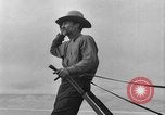 Immagine di L'aratura e la raccolta di frumento United States USA, 1936, secondo 48 filmato di repertorio 65675045147