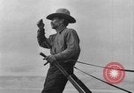 Immagine di L'aratura e la raccolta di frumento United States USA, 1936, secondo 49 filmato di repertorio 65675045147