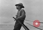Immagine di L'aratura e la raccolta di frumento United States USA, 1936, secondo 50 filmato di repertorio 65675045147