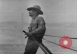 Immagine di L'aratura e la raccolta di frumento United States USA, 1936, secondo 51 filmato di repertorio 65675045147