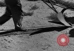 Immagine di La sovrapproduzione su American Plains conduce a vaschetta raccoglipolvere United States USA, 1936, secondo 10 filmato di repertorio 65675045148