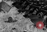 Image of wrecked farm during dust bowl United States USA, 1936, second 5 stock footage video 65675045149