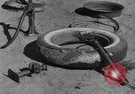 Image of wrecked farm during dust bowl United States USA, 1936, second 44 stock footage video 65675045149