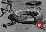 Image of wrecked farm during dust bowl United States USA, 1936, second 46 stock footage video 65675045149
