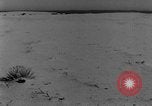 Image of wrecked farm during dust bowl United States USA, 1936, second 54 stock footage video 65675045149