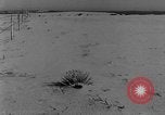 Image of wrecked farm during dust bowl United States USA, 1936, second 56 stock footage video 65675045149