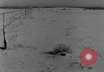 Image of wrecked farm during dust bowl United States USA, 1936, second 57 stock footage video 65675045149