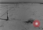 Image of wrecked farm during dust bowl United States USA, 1936, second 58 stock footage video 65675045149