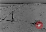 Image of wrecked farm during dust bowl United States USA, 1936, second 59 stock footage video 65675045149