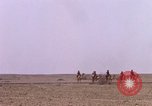 Immagine di Il cammello arabo piloti Bahrain, 1967, secondo 51 filmato di repertorio 65675045155
