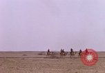 Immagine di Il cammello arabo piloti Bahrain, 1967, secondo 55 filmato di repertorio 65675045155