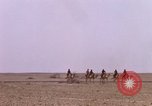 Immagine di Il cammello arabo piloti Bahrain, 1967, secondo 56 filmato di repertorio 65675045155