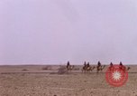Immagine di Il cammello arabo piloti Bahrain, 1967, secondo 58 filmato di repertorio 65675045155