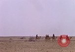 Immagine di Il cammello arabo piloti Bahrain, 1967, secondo 59 filmato di repertorio 65675045155