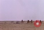 Immagine di Il cammello arabo piloti Bahrain, 1967, secondo 60 filmato di repertorio 65675045155