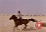 Immagine di Corsa di cammelli Bahrain, 1967, secondo 20 filmato di repertorio 65675045156