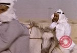 Immagine di Corsa di cammelli Bahrain, 1967, secondo 39 filmato di repertorio 65675045156
