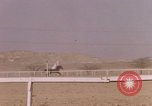 Immagine di Corsa di cammelli Bahrain, 1967, secondo 41 filmato di repertorio 65675045156