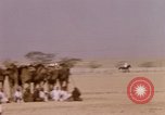 Immagine di Corsa di cammelli Bahrain, 1967, secondo 50 filmato di repertorio 65675045156