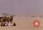 Immagine di Corsa di cammelli Bahrain, 1967, secondo 52 filmato di repertorio 65675045156