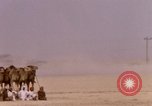 Immagine di Corsa di cammelli Bahrain, 1967, secondo 54 filmato di repertorio 65675045156