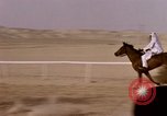 Immagine di Corsa di cammelli Bahrain, 1967, secondo 62 filmato di repertorio 65675045156