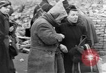 Image of black marketing Berlin Germany, 1946, second 21 stock footage video 65675045159