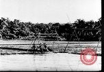 Image of world food and hunger problem after World War 2 Germany, 1946, second 41 stock footage video 65675045161