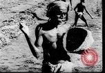 Image of world food and hunger problem after World War 2 Germany, 1946, second 45 stock footage video 65675045161
