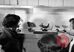 Image of students Heidelberg Germany, 1952, second 4 stock footage video 65675045165