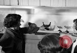 Image of students Heidelberg Germany, 1952, second 6 stock footage video 65675045165