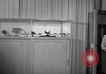 Image of students Heidelberg Germany, 1952, second 40 stock footage video 65675045165