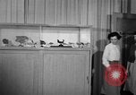 Image of students Heidelberg Germany, 1952, second 41 stock footage video 65675045165