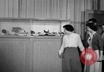 Image of students Heidelberg Germany, 1952, second 42 stock footage video 65675045165