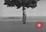 Image of 1st infantry Division Bremen Germany, 1955, second 56 stock footage video 65675045181