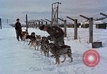 Image of dog sled team Alaska USA, 1960, second 6 stock footage video 65675045190