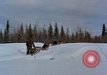 Image of dog sled team Alaska USA, 1960, second 17 stock footage video 65675045190
