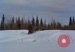 Image of dog sled team Alaska USA, 1960, second 18 stock footage video 65675045190