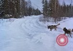 Image of dog sled team Alaska USA, 1960, second 27 stock footage video 65675045190