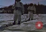Image of dog sled team Alaska USA, 1960, second 32 stock footage video 65675045190