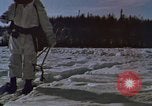 Image of dog sled team Alaska USA, 1960, second 35 stock footage video 65675045190