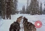 Image of dog sled team Alaska USA, 1960, second 38 stock footage video 65675045190