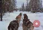 Image of dog sled team Alaska USA, 1960, second 40 stock footage video 65675045190