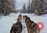 Image of dog sled team Alaska USA, 1960, second 42 stock footage video 65675045190
