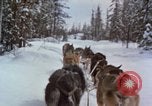 Image of dog sled team Alaska USA, 1960, second 44 stock footage video 65675045190