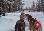 Image of dog sled team Alaska USA, 1960, second 45 stock footage video 65675045190