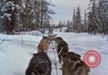 Image of dog sled team Alaska USA, 1960, second 46 stock footage video 65675045190