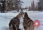 Image of dog sled team Alaska USA, 1960, second 47 stock footage video 65675045190