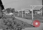 Image American School Tokyo Japon, 1952, de la seconde 54 séquences d'archives historiques vidéo 65675045192