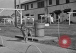 Image American School Tokyo Japon, 1952, de la seconde 60 séquences d'archives historiques vidéo 65675045192